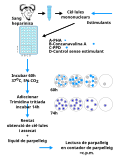 Thumbnail for File:Mitogens.svg