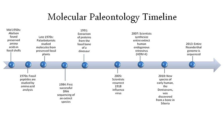 chronologie de la paléontologier moléculaire en neuf dates