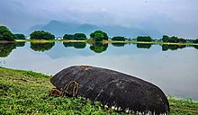 Mookaneri Lake in the City