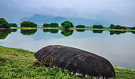 Mookeneri (Kannakurichi) Lake.jpg