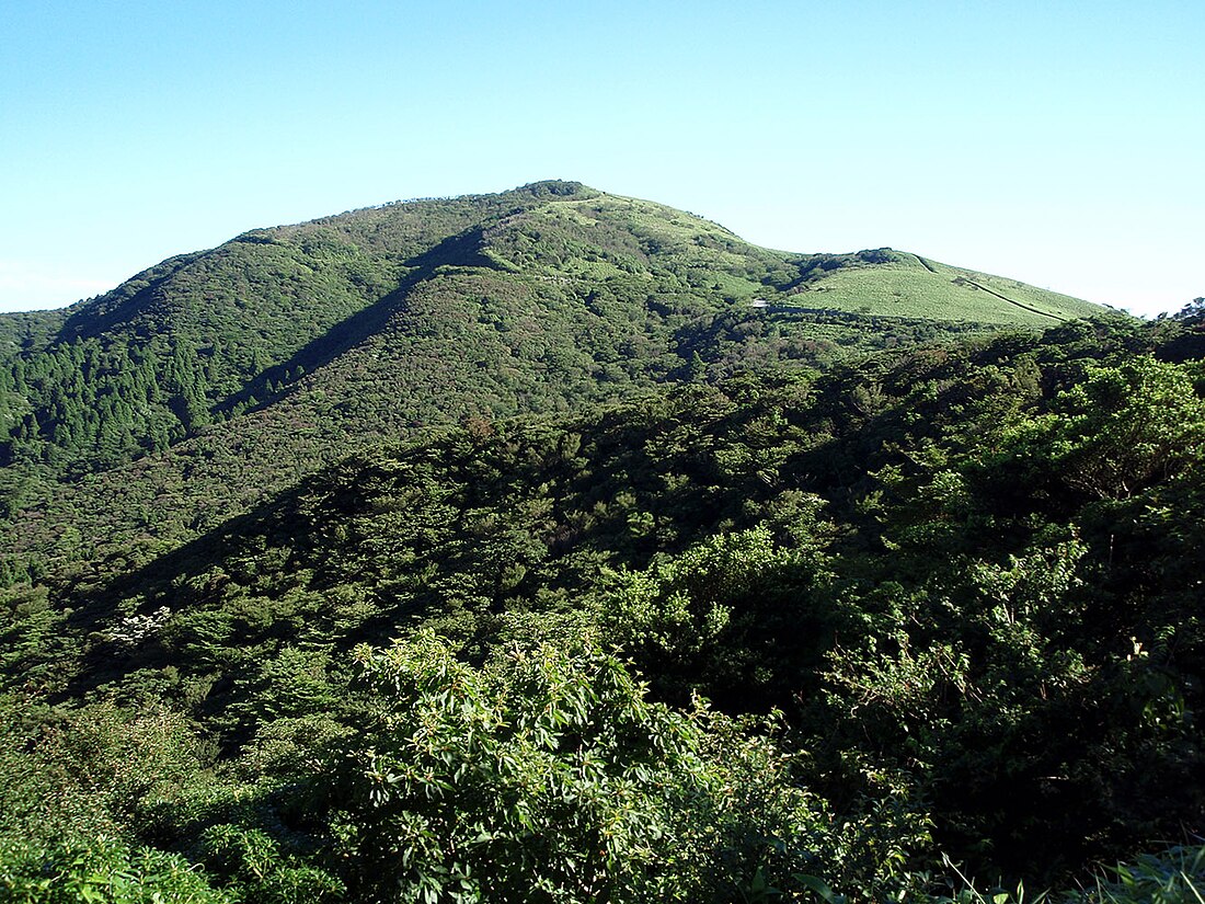 達磨山