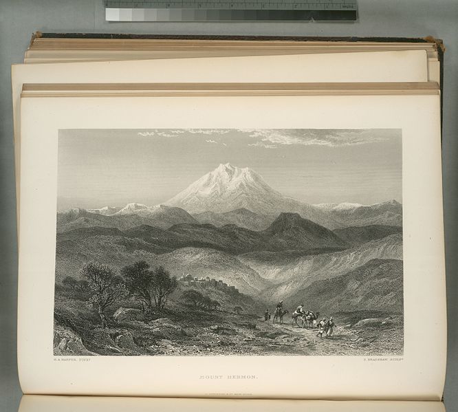 File:Mount Hermon (NYPL b10607452-80486).jpg