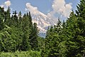 Mount Rainier from Kautz Creek viewpoint 01.jpg