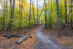 Mt. McSauba Trail.jpg