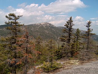 <span class="mw-page-title-main">Mount Cardigan</span> Mountain in United States of America