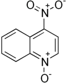 Structuurformule van 4-nitroquinoline 1-oxide