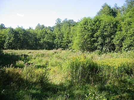 Naturschutzgebiet Löcknitztal Leistikowweg