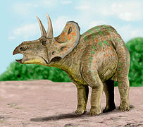 Nedoceratops