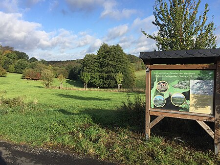 Oberes Teufelsbachtal (Remscheid)