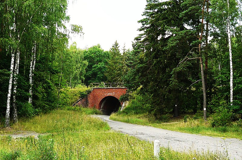 File:Ostbahn Starogard Gd. viaduct.JPG