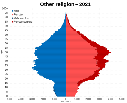 Other Religion