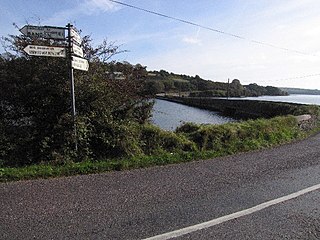 <span class="mw-page-title-main">R606 road (Ireland)</span> Regional road in Ireland