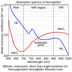 Absorption spectra of oxygenated hemoglobin (HbO2) and deoxygenated hemoglobin (Hb) for red and infrared wavelengths Oxy and Deoxy Hemoglobin Near-Infrared absorption spectra.svg