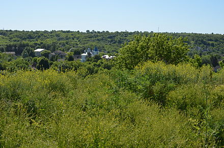 Вид на село Озаринці