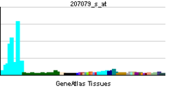 PBB GE MED6 207079 s ĉe tn.png