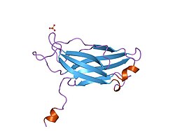 PDB 1rsy EBI.jpg