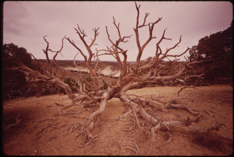 File:PICEANCE BASIN, SEMI-ARID RANGE LAND - NARA - 552551.tif