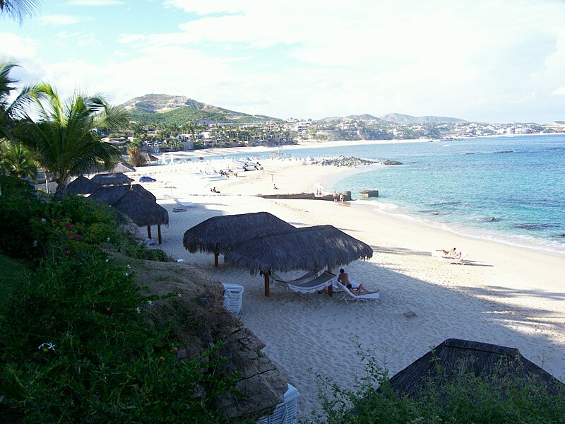 File:Palmilla - panoramio.jpg