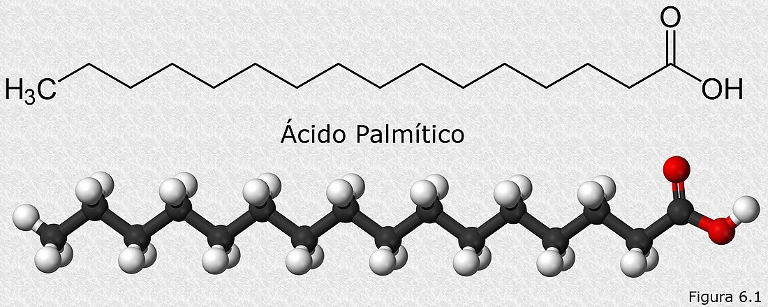 Palmitinsyre