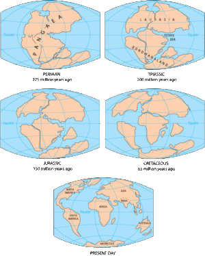 地質時代 Wikipedia