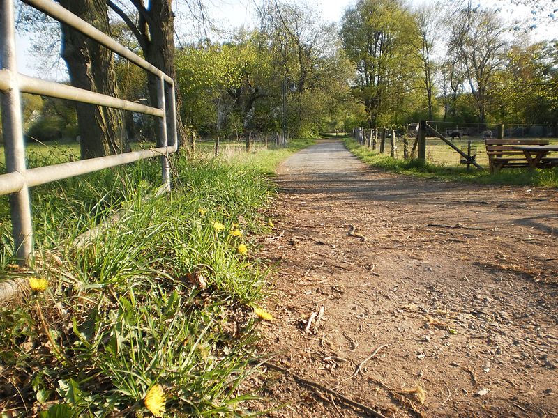 File:Path from cycling route Lahntalradweg to museum of painter Otto-Ubbelohde in Gossfelden behind trees near river Lahn (Germany) 2017-04-30.jpg