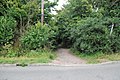 Path leading from road to Oughtonhead Common - geograph.org.uk - 1395520.jpg