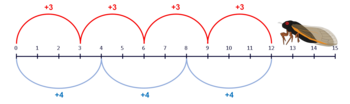 Number line with multiples of 3 and 4 highlighted up to the number 12. An illustration of a cicada sits at the number 13.