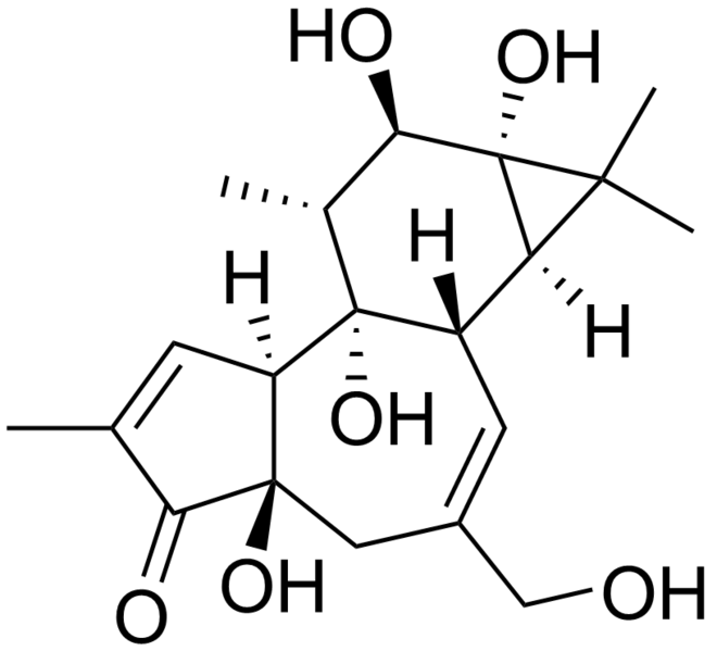 File:Phorbol.png