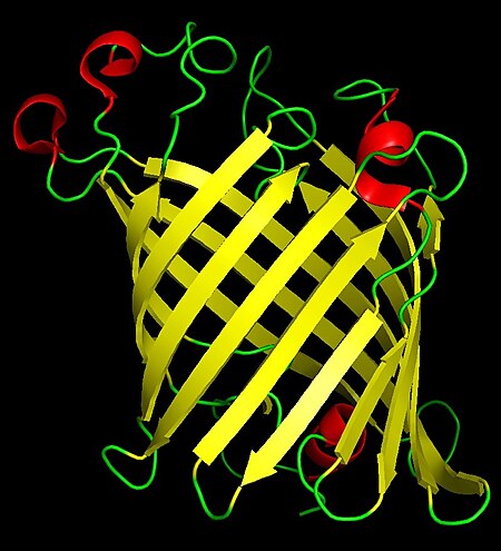 Phospholipase A1