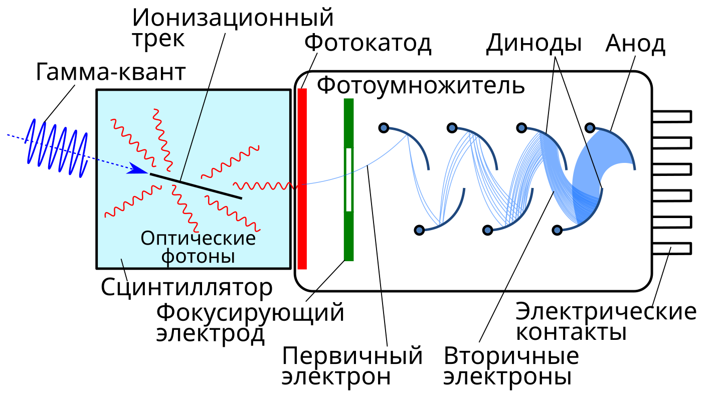 Фотокатод