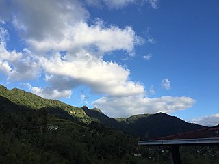 <span class="mw-page-title-main">Los Tres Picachos</span> Mountain in Puerto Rico