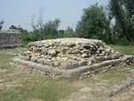 Piplan situs (Taxila)