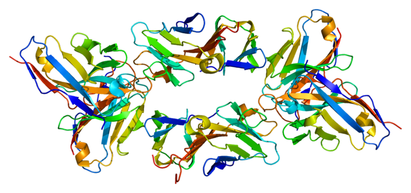 File:Protein CD3D PDB 1xiw.png