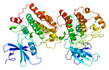 Protein CSNK1E PDB 1cki.png