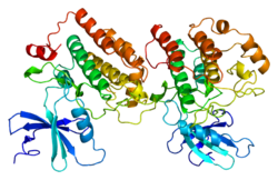 Белок CSNK1E PDB 1cki.png