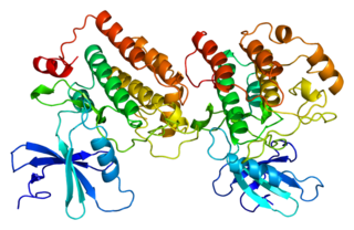 <span class="mw-page-title-main">Casein kinase 1 isoform epsilon</span>