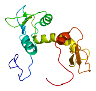 <span class="mw-page-title-main">EIF5</span> Protein-coding gene in the species Homo sapiens