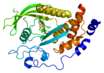 Thumbnail for File:Protein PTPN14 PDB 2bzl.png