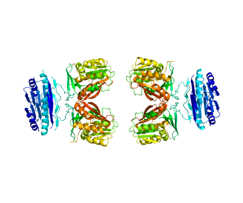 Protein data bank