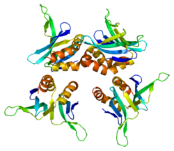 Protein SUB1 PDB 1pcf.png