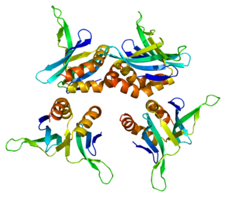 SUB1 Protein-coding gene in the species Homo sapiens