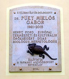 Miklós Puky