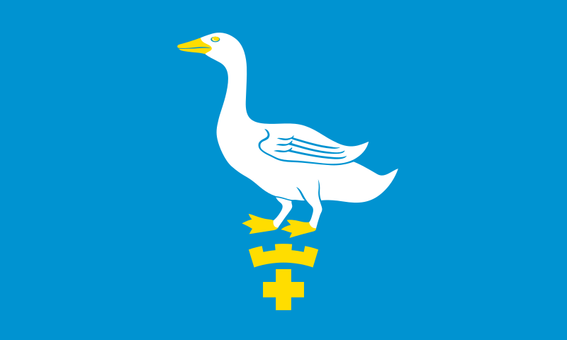 File:Pyhäjoki.lippu.svg