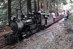 Thumbnail for Redwood Valley Railway