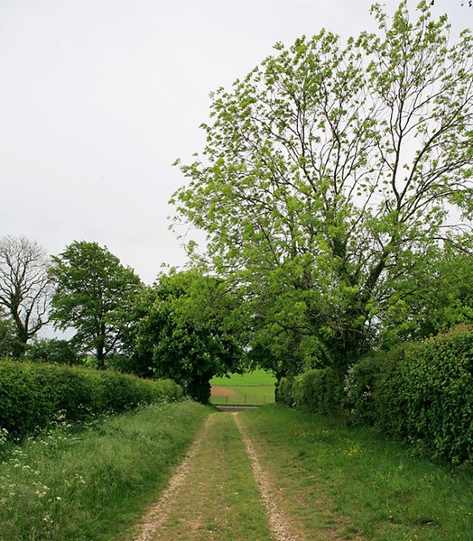 File:Restricted byway approaches New Road, Meonstoke - geograph.org.uk - 426911.jpg