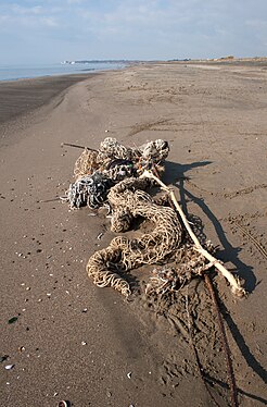 Rete da pesca spiaggiata