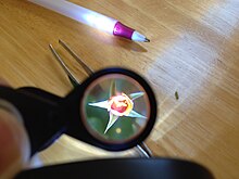 A Tiny Rose-like Flower in California Viewed through a Loupe