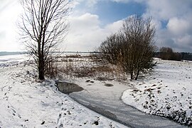 Tümpel in der Flachwasserzone