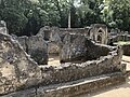 Ruins of Gedi