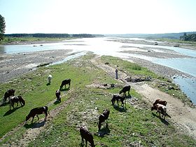 The Moldova Valley, setting of Sadoveanu's Crâșma lui Moș Petcu